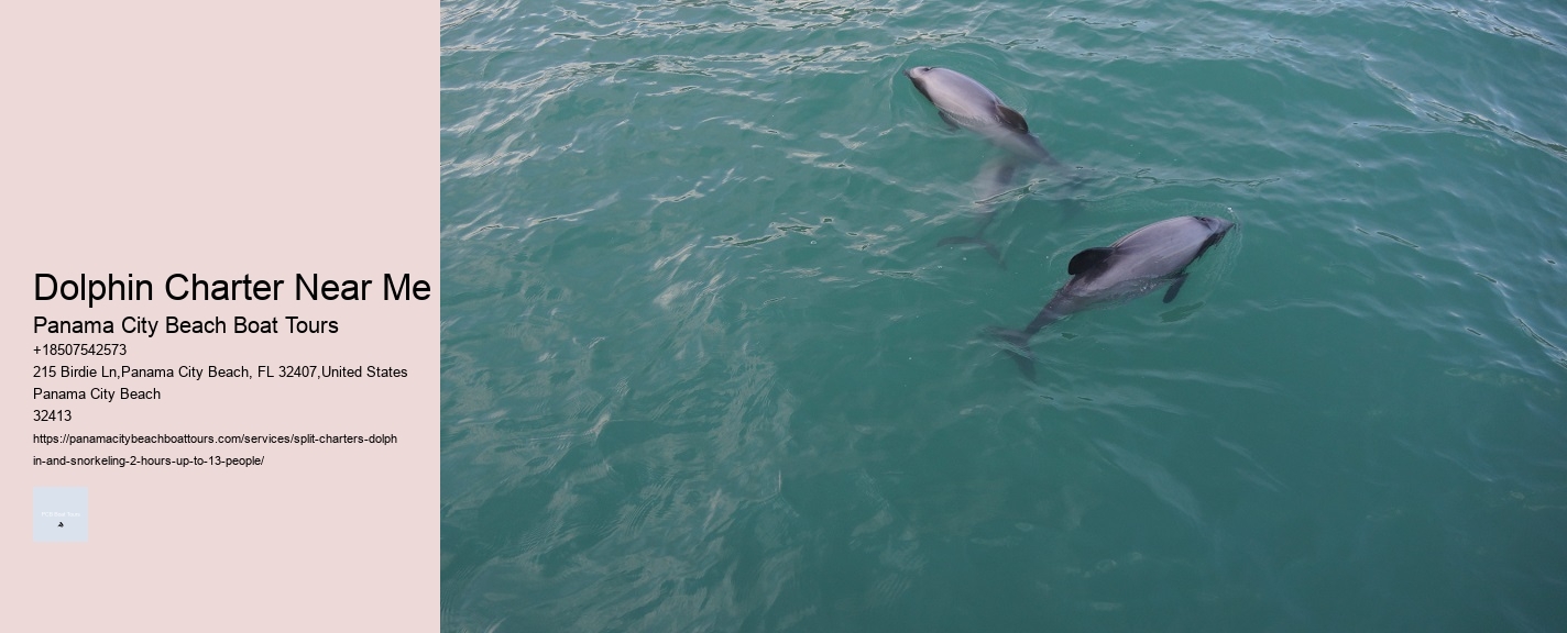 Dolphin Charter Near Me