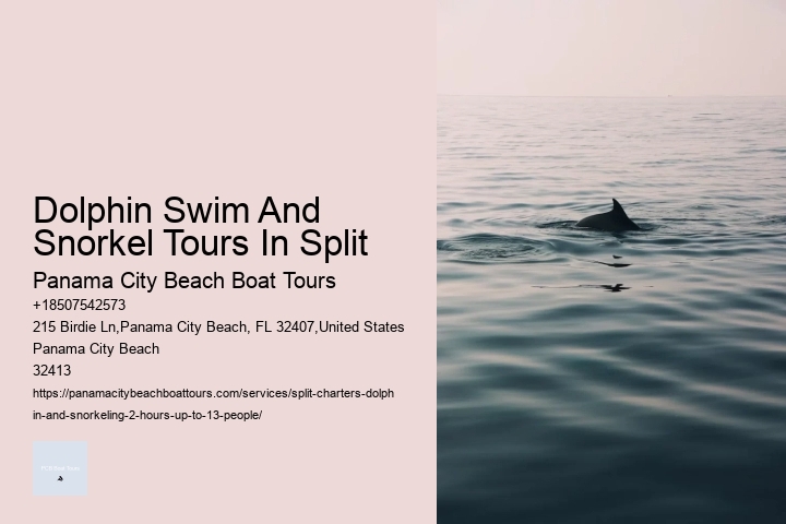 Dolphin Swim And Snorkel Tours In Split