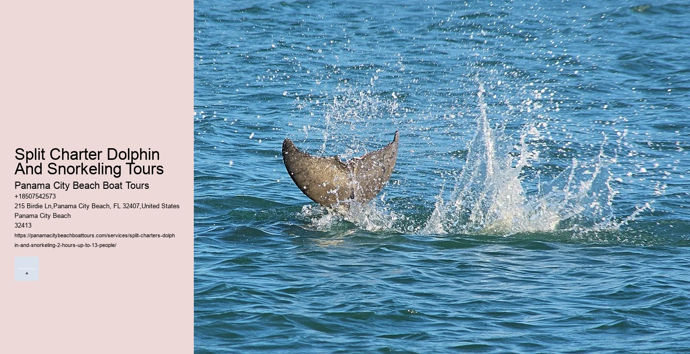 3 Dolphin Court Nantucket Ma