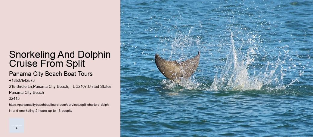 Snorkeling And Dolphin Cruise From Split