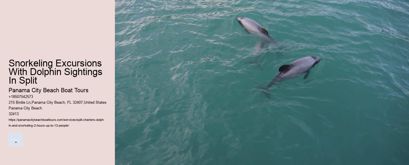 Snorkeling Excursions With Dolphin Sightings In Split