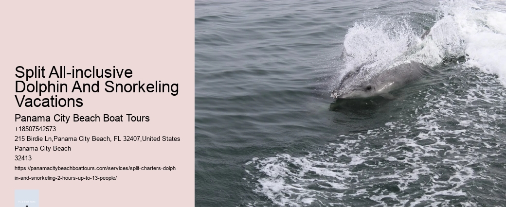 Split Multi-day Sailing Trips With Dolphin Watching And Snorkeling