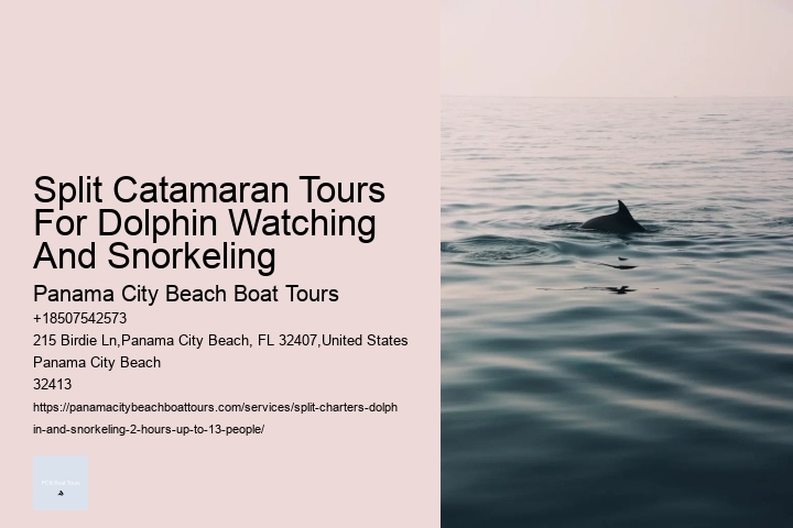 Split Catamaran Tours For Dolphin Watching And Snorkeling